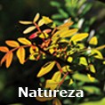 Património Natural